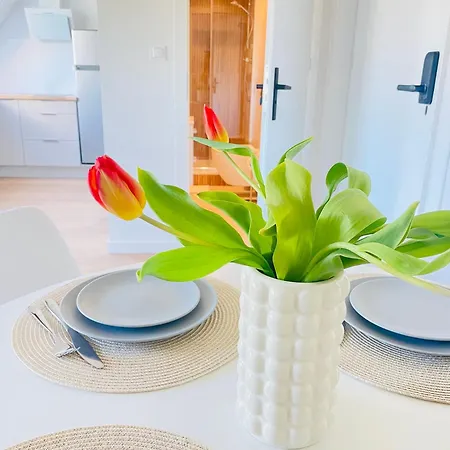 Modern 5 Apartment *