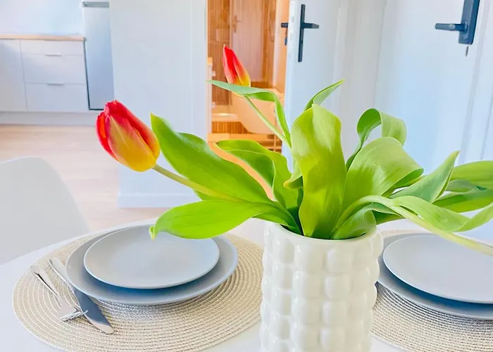 Modern 5 Апартаменти *